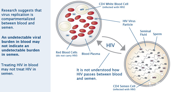 hiv,试管婴儿