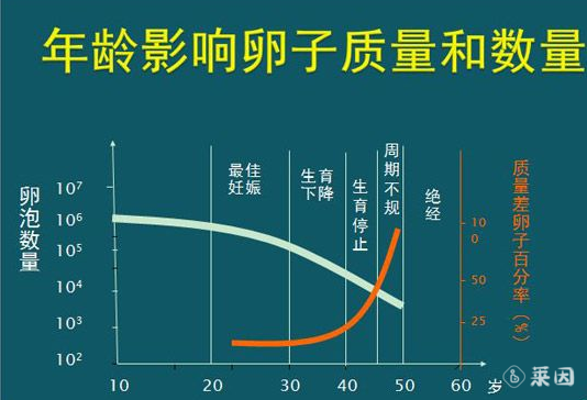 美国试管婴儿的这5个秘密医生不会主动告诉你