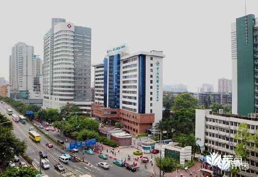 中山大学附属第三医院