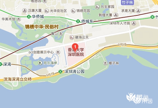 香港大学深圳医院