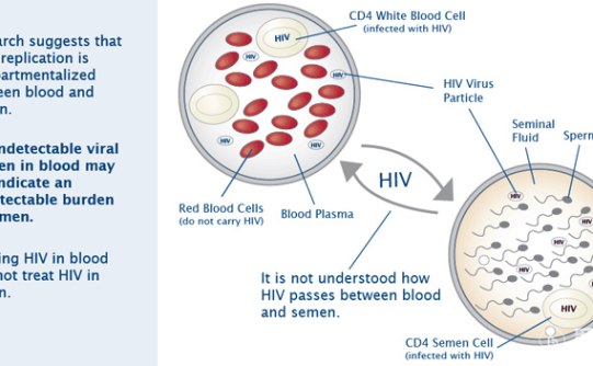 HIV携带者能否通过泰国试管试管生出健康的婴儿？